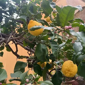 Vicino Al Mare Appartement Moneglia